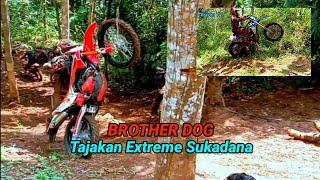 BROTHER DOG JALUR EXTREME SUKADANA CI ILAT TANJAKAN LUMPUR ENDURO