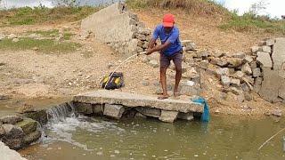 Best Baam fishing TechniqueFishing For Baam&Tilapia To Catch With Singal hookUnique Fishing video