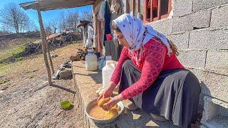 Nomadic life in the village of Iran  Simple village life in northern Iran