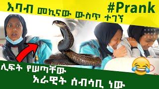 አደገኛ እባብ መኪናው ውስጥ አለ  ያበደ ፕራንክ #ethiopian #ethiopianprank #ethiopianfunnyvideos #viral #prank
