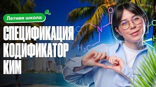 Всё о ЕГЭ по химии 2025 КИМ спецификация кодификатор  Летняя школа 100Б  Катя Строганова