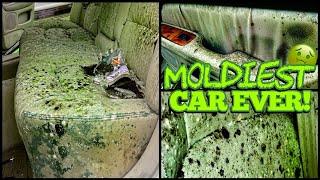 Deep Cleaning the MOLDIEST BIOHAZARD Lexus EVER  Satisfying DISASTER Car Detailing Transformation