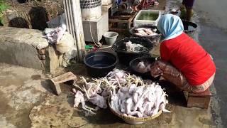 Jual Karkas Ayam Kampung Dan Proses Pemotongannya