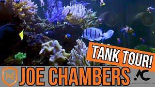 Joe Chambers’ Home Reef Tank Tour