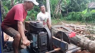 Othel Diesel Gergaji Serkel Kayu