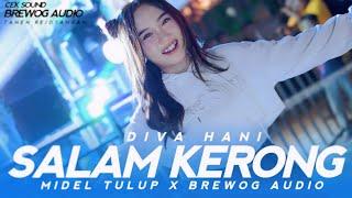 DIVA HANI - DJ SALAM KERONG MIDDLE NROTOK X BREWOG AUDIO I Barakat Music