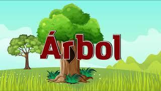 Árboles para niños  Aprenda las partes de un árbol para niños  Árbol y sus Partes para Niños