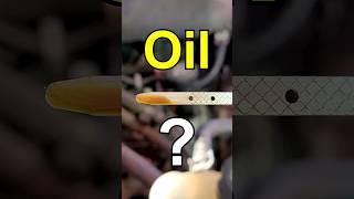 Mechanic States Motor Oil Dipstick?