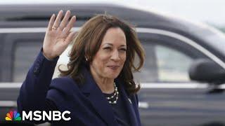 VP Kamala Harris rakes in over $300 million as she secures 2024 Democrat Party nomination