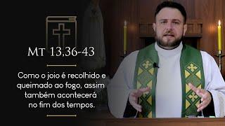 Homilia Diária  Terça-feira - 17ª Semana do Tempo Comum Mt 1336-43