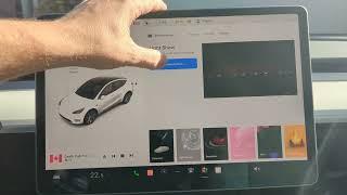 How to set up a custom Tesla light show