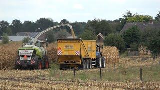 Mais hakselen door loonbedrijf Reimink met Claas Jaguar 950 bij Mts Hekman - Deel 1 2022