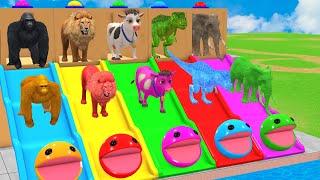 Long Slide Game With Elephant Gorilla Buffalo Hippopotamus Tiger - 3d Animal Game - Funny 3d Animals