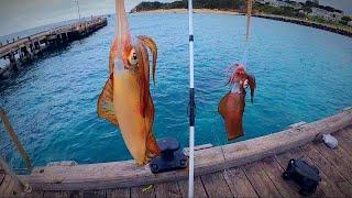 Squid Fishing  WILD Conditions #squidfishing