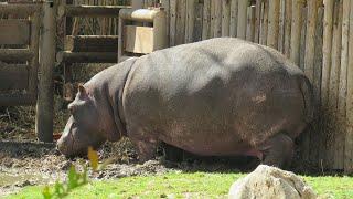 Una domenica al Bioparco di Sicilia a Carini Palermo