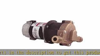 0809-0100-0200 March 809-Br 12VDC Pump 12V 1100 HP March MFG Series 809 Pump 809-Br 12VDC Bru