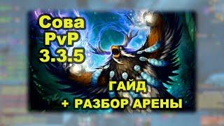 Гайд Сова 3.3.5 ПвП + Арена с комментариями