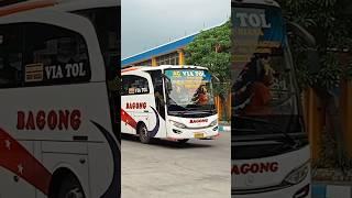 PO BAGONG EKONOMI FULL BASURI TUJUAN SURABAYA - KEDIRI - TULUNGAGUNG PP