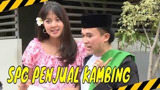 Aurelie Moeremans Jadi SPG Cantik Penjual Kambing  MOMEN KOCAK  LAPOR PAK 170624