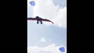 Rodan vs Kong 2017  Animation #shorts