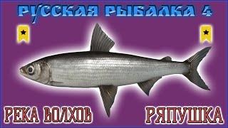 РР4 ВОЛХОВ ТРОФЕЙНАЯ РЯПУШКА  РУССКАЯ РЫБАЛКА 4 ВОЛХОВ РЯПУШКА ТРОФЕЙ  RF4 VOLKHOV TROPHY VENDACE