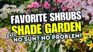  NO SUN? NO PROBLEM These 10 Shrubs Will Make Your Shade Garden POP 