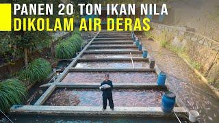 Keunggulan Budidaya Ikan Nila Kolam Air Deras Ikan Cepat Besar dan Tidak Bau Tanah