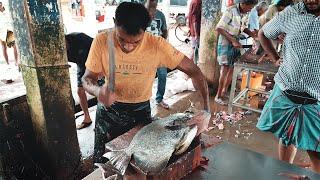 Bat Fish Cutting  Amazing Fish Cutting Skills Sri Lanka