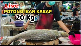 LIVE POTONG IKAN KAKAP 20 KG