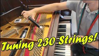 Piano Tuning Workflow How 230ish Strings are Tuned