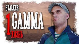 ЛЕГЕНДА ТЫ СТАЛКЕРА ИЛИ НЕТ? ► STALKER GAMMA NODEATH - ТРЕНИРОВКА 18+ СТРИМ-1