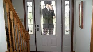 ASMR ROLEPLAY Ren Amamiya  Akira Kurusu wants to come inside your house for personal reasons