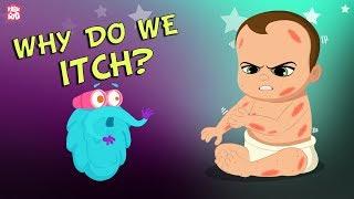Why Do We Itch? The Dr. Binocs Show  Best Learning Videos For Kids  Peekaboo Kidz