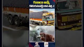 గంజాయి అమ్మే కొడుకును పట్టించిన తల్లి..  Drugs Effect On Youth  Trending News Update Of Chennai