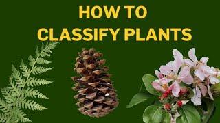 Learn Plant Classification   The Plant Kingdom