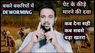 बकरे बकरियों में DEWORMINGपेट के कीड़े मारने की दवाकब देना सही कब सबसे बड़ा खतरा