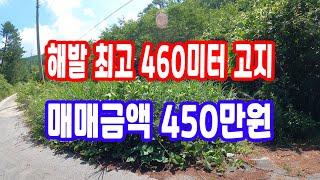 땅 시골 땅임야 매매 450만원 해발 최고 460미터 고지계곡 한 면 전체 접한 계곡땅 깊은 산 골 혐오 시설 없는 완전 자연 청정 산 속 땅 가재 잡이 힐링땅