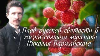 Плод русской святости в жизни святого мученика Николая Варжанского