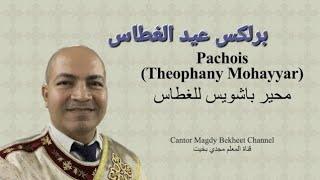 Theophany Pachois - برلكس عيد الغطاس باشويس