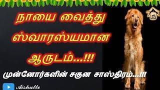 Saguna Sasthiram  நாயை வைத்து ஸ்வாரஸ்யமான ஆருடம்  முன்னோர்களின் சகுன சாஸ்திரம்