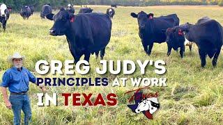 Greg Judys Principles at Work in Texas  Regenerative Ranching