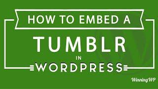 How Embed Tumblr Into A WordPress Post Or Page Step by Step