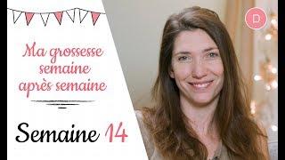 14ème semaine de grossesse – A qui demander des conseils ?