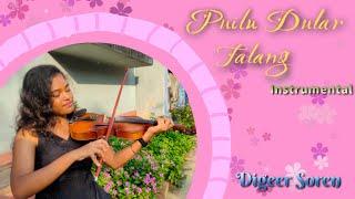 Puilu Dular Talang  Instrumental Version  Digeer Soren  Singrai Soren