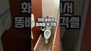 똥배틀 목격 썰