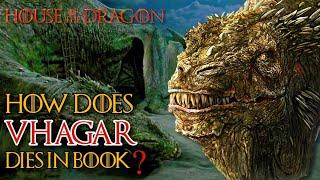 How Does Vhagar Die In The House Of The Dragon? The Largest Dragon Who Changed The War Completely