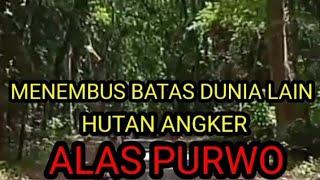 MENEMBUS BATAS DUNIA ANGKER ALAS PURWO @dunialain3826