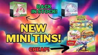 NEW Pokémon Vibrant Paldea Mini Tins for CHEAP + Temporal Forces PC Exclusive ETBs BACK IN STOCK