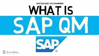 What is SAP QM Explained  Introduction to SAP QM Basics