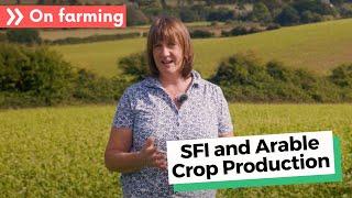 How SFI works hand in hand with arable crop production